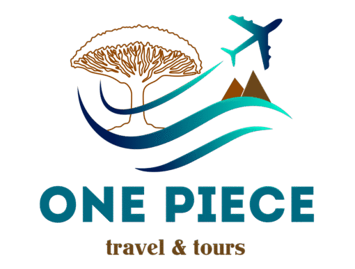 onepiecetours.com